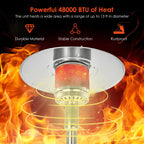 50000 BTU Propane Patio Heater Standing Steel with Wheels Silver